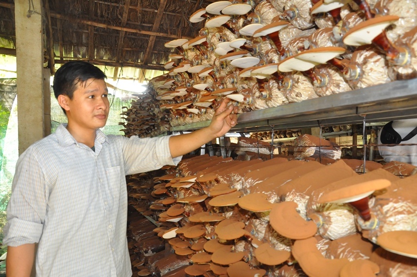 Học cách làm giàu ở nông thôn với nghề trồng nấm