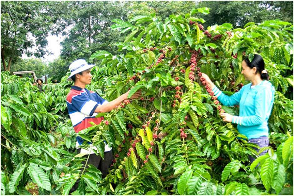 Gợi ý 20 cách làm giàu ở nông thôn dễ nhất hiện nay